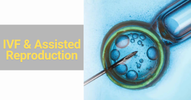 IVF & Assisted Reproduction